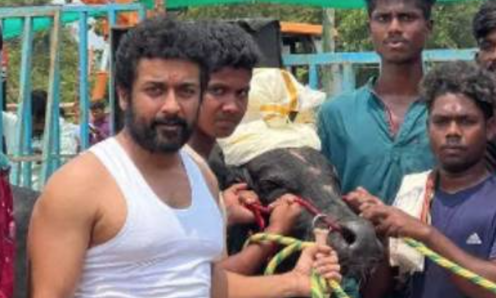 வாடிவாசல் பட நிலை: விடுதலை பட நடிகரின் வெறித்தனமான தகவல்!