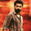 simbu